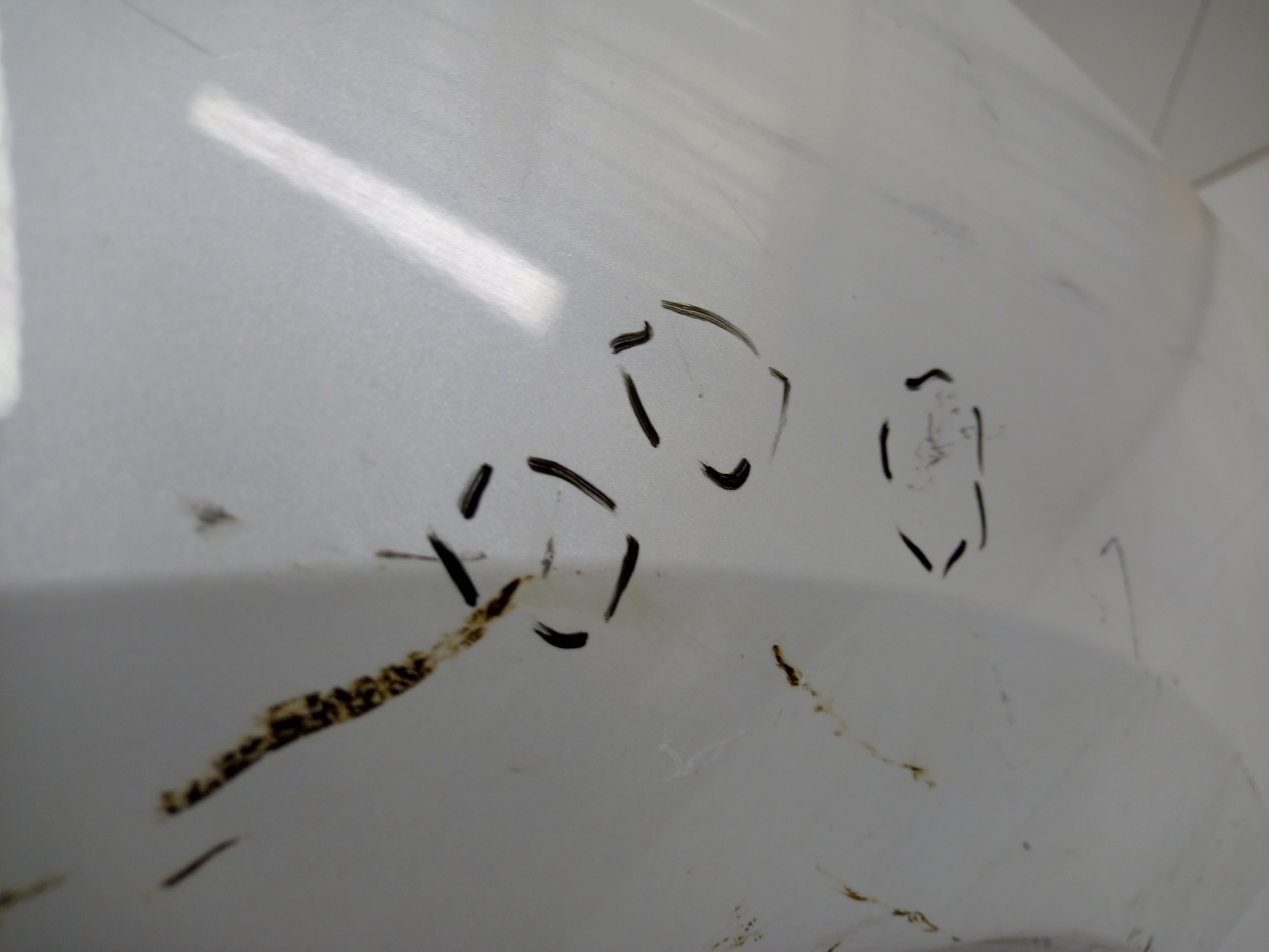 Крыло переднее правое Haval F7