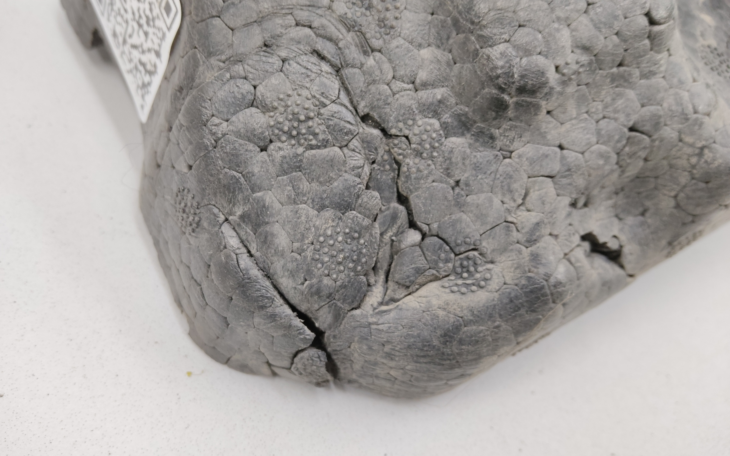 Абсорбер переднего бампера Kia Seltos