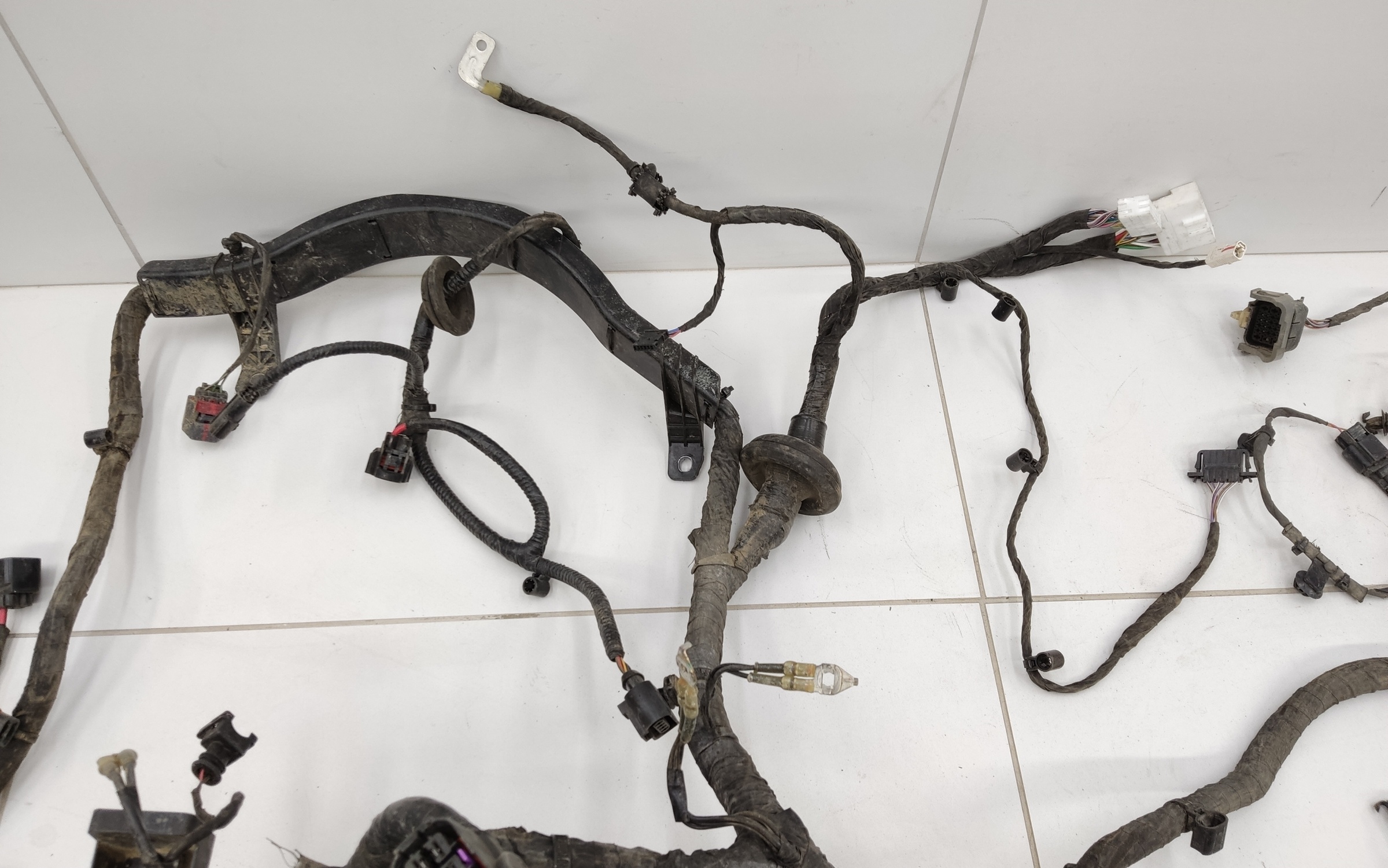 Проводка моторного отсека Tank 300