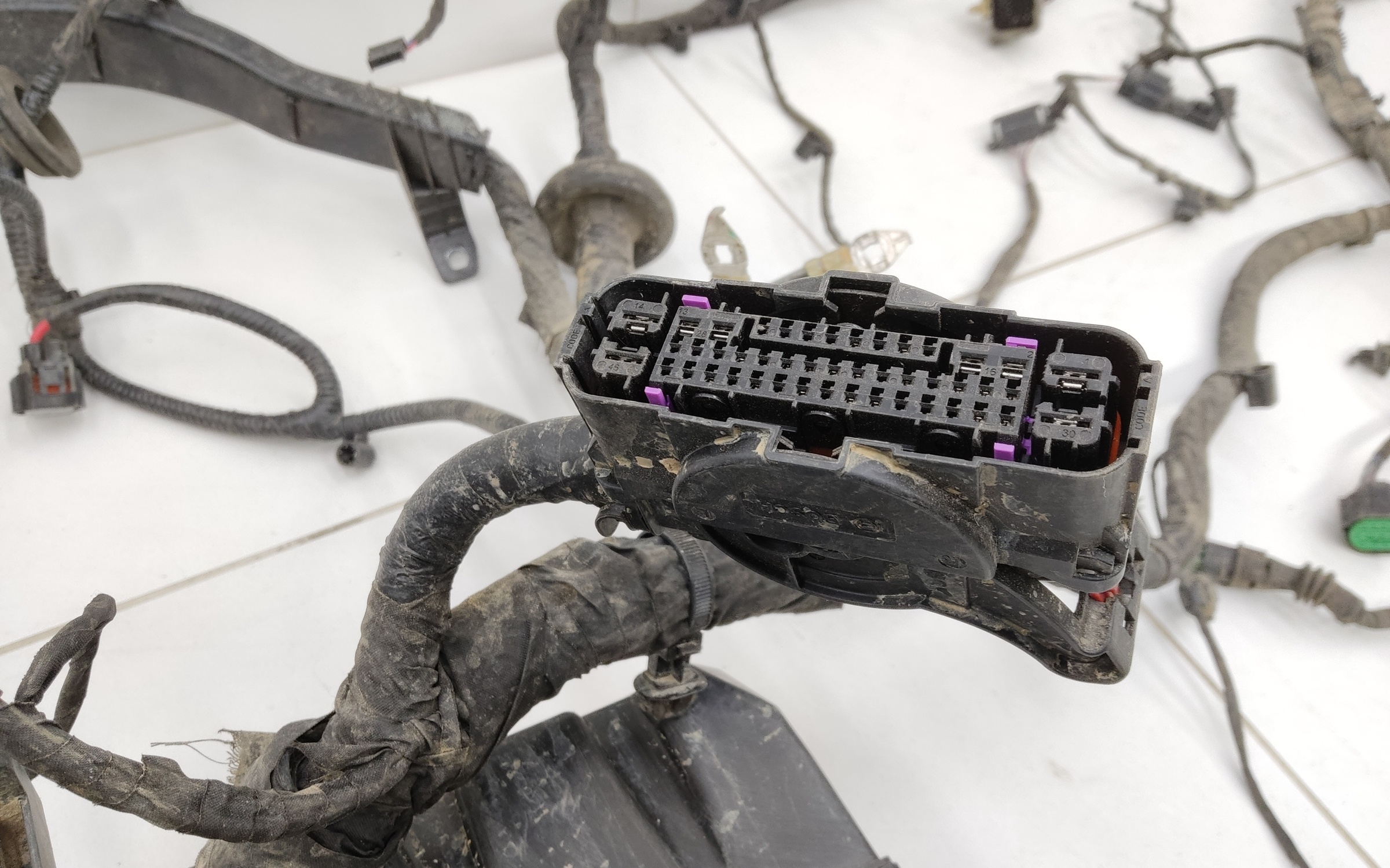 Проводка моторного отсека Tank 300