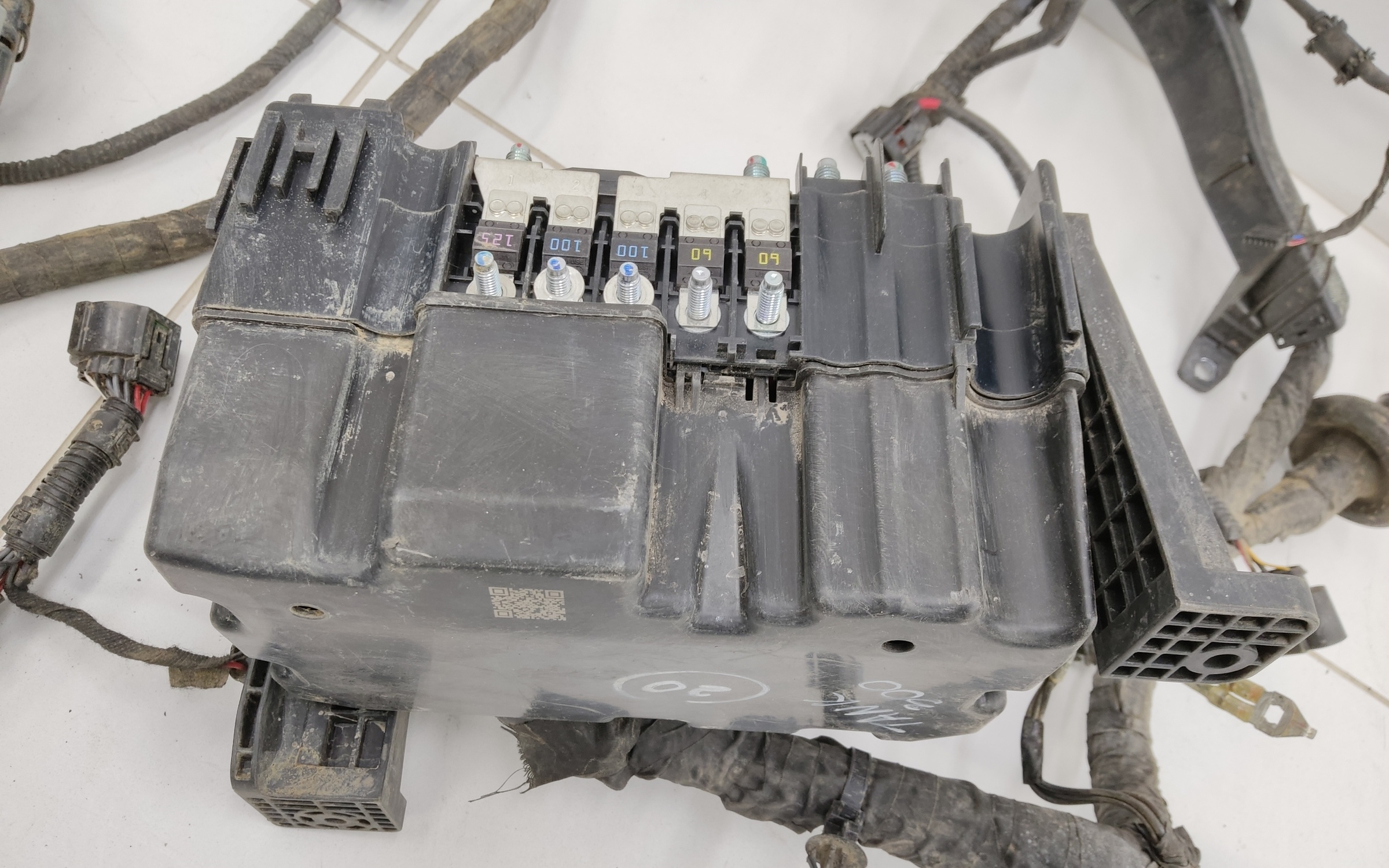 Проводка моторного отсека Tank 300