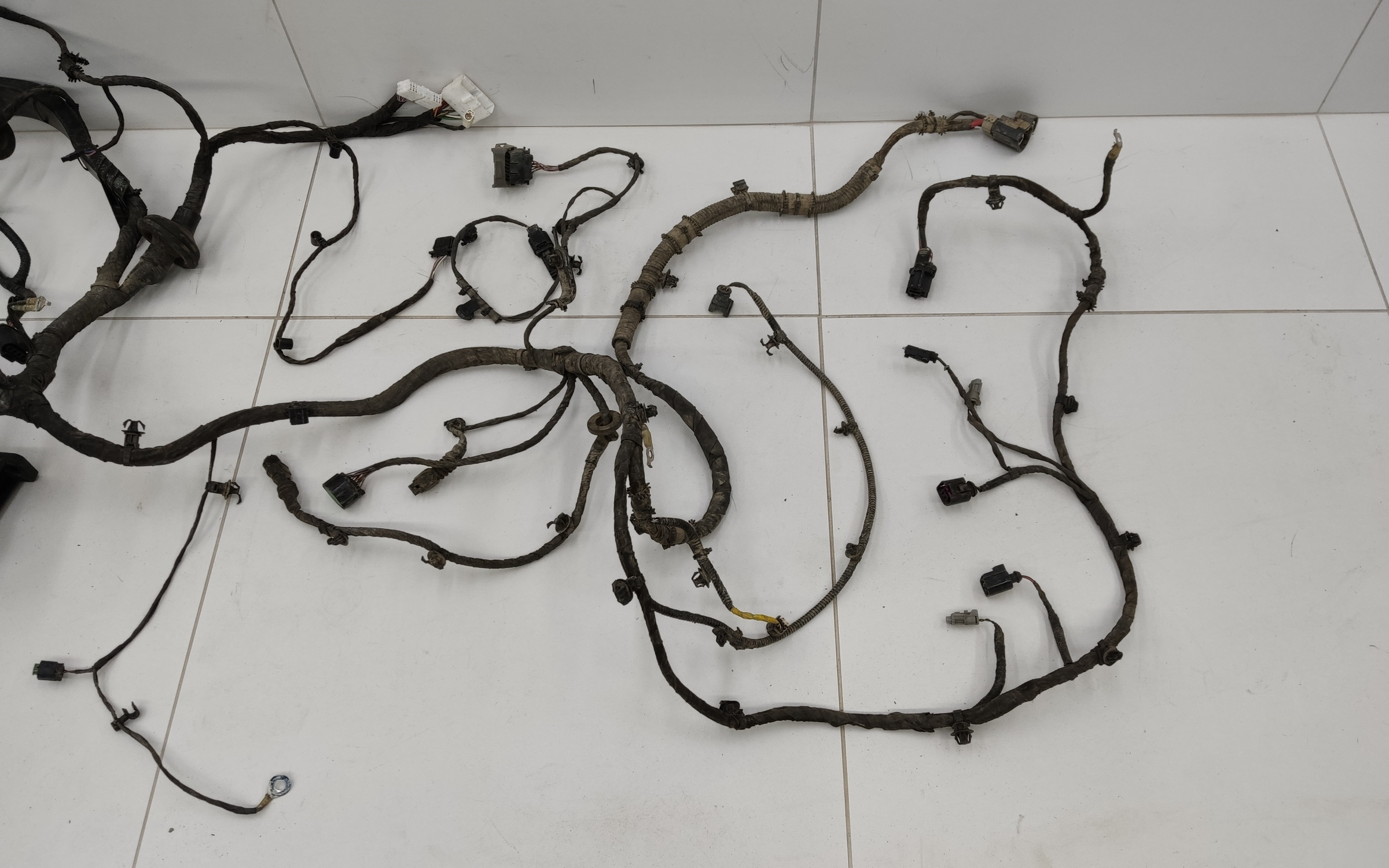 Проводка моторного отсека Tank 300