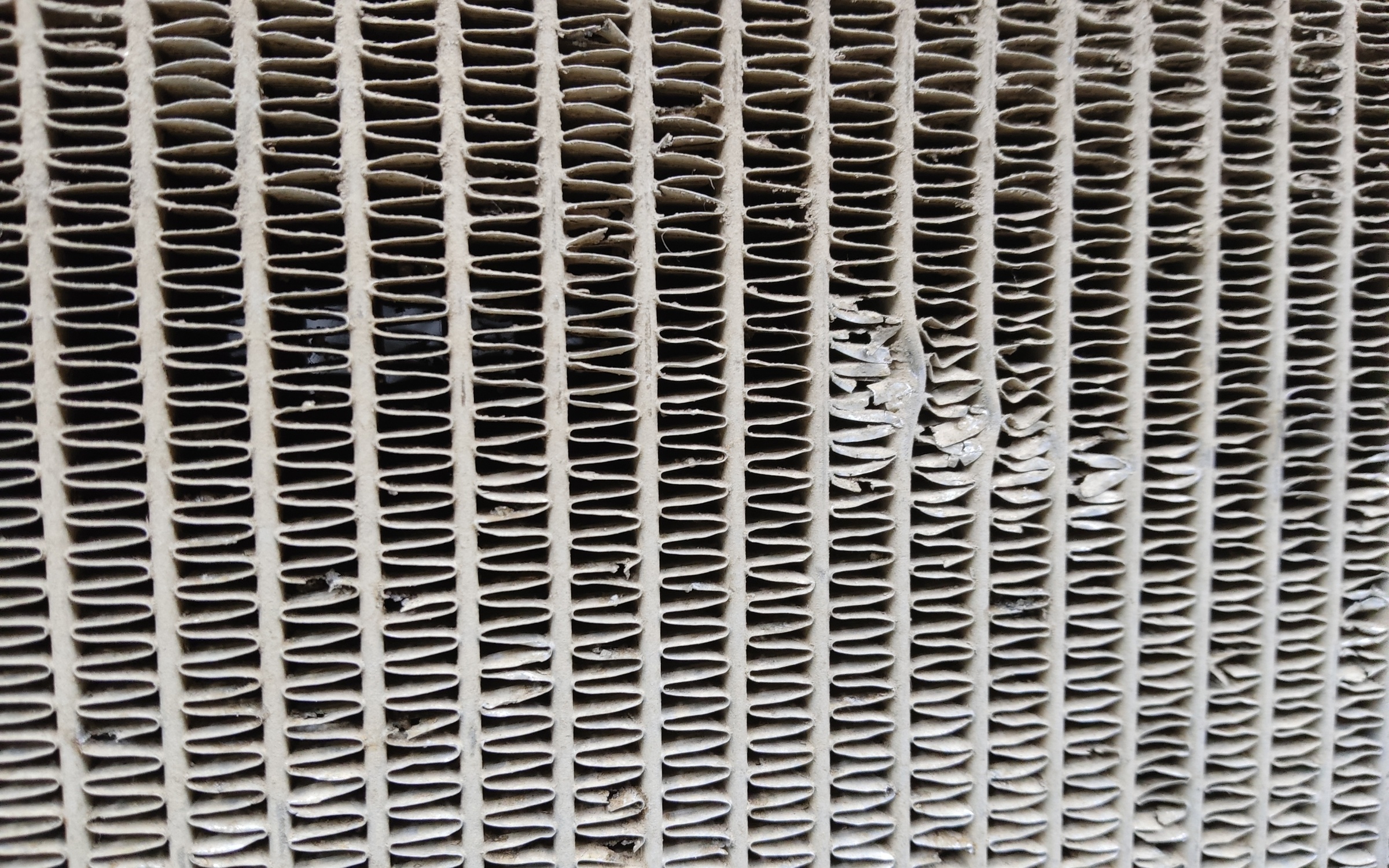 Радиатор охлаждения двигателя Tank 300