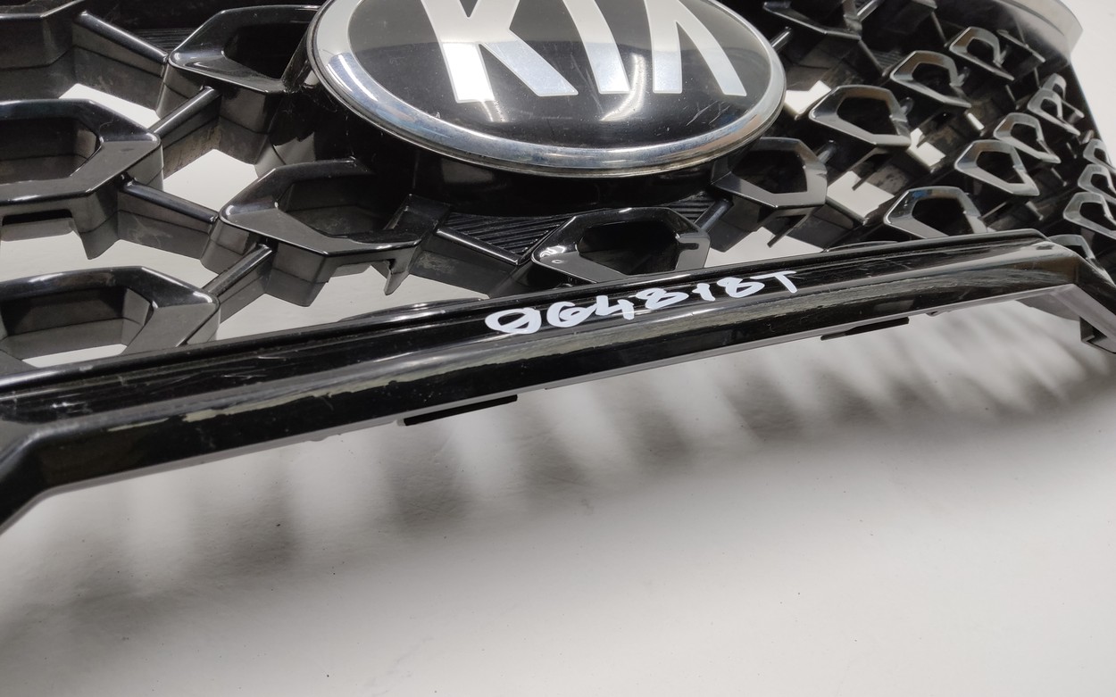 Решётка радиатора Kia Sorento 4