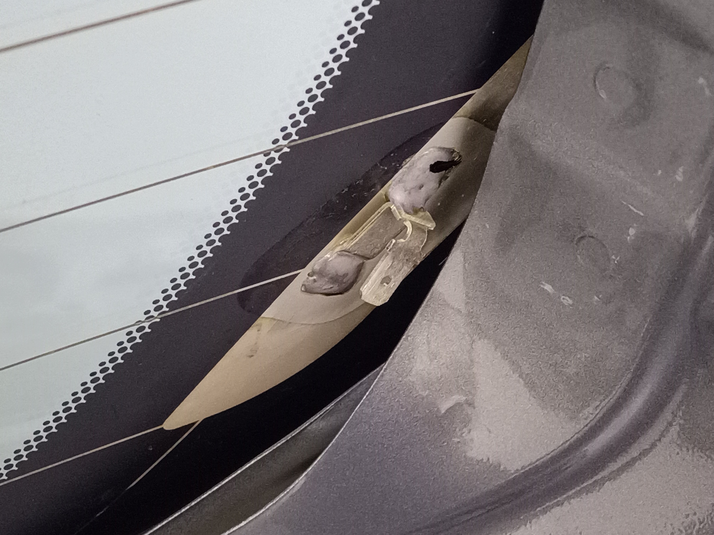 Стекло крышки багажника Haval Jolion