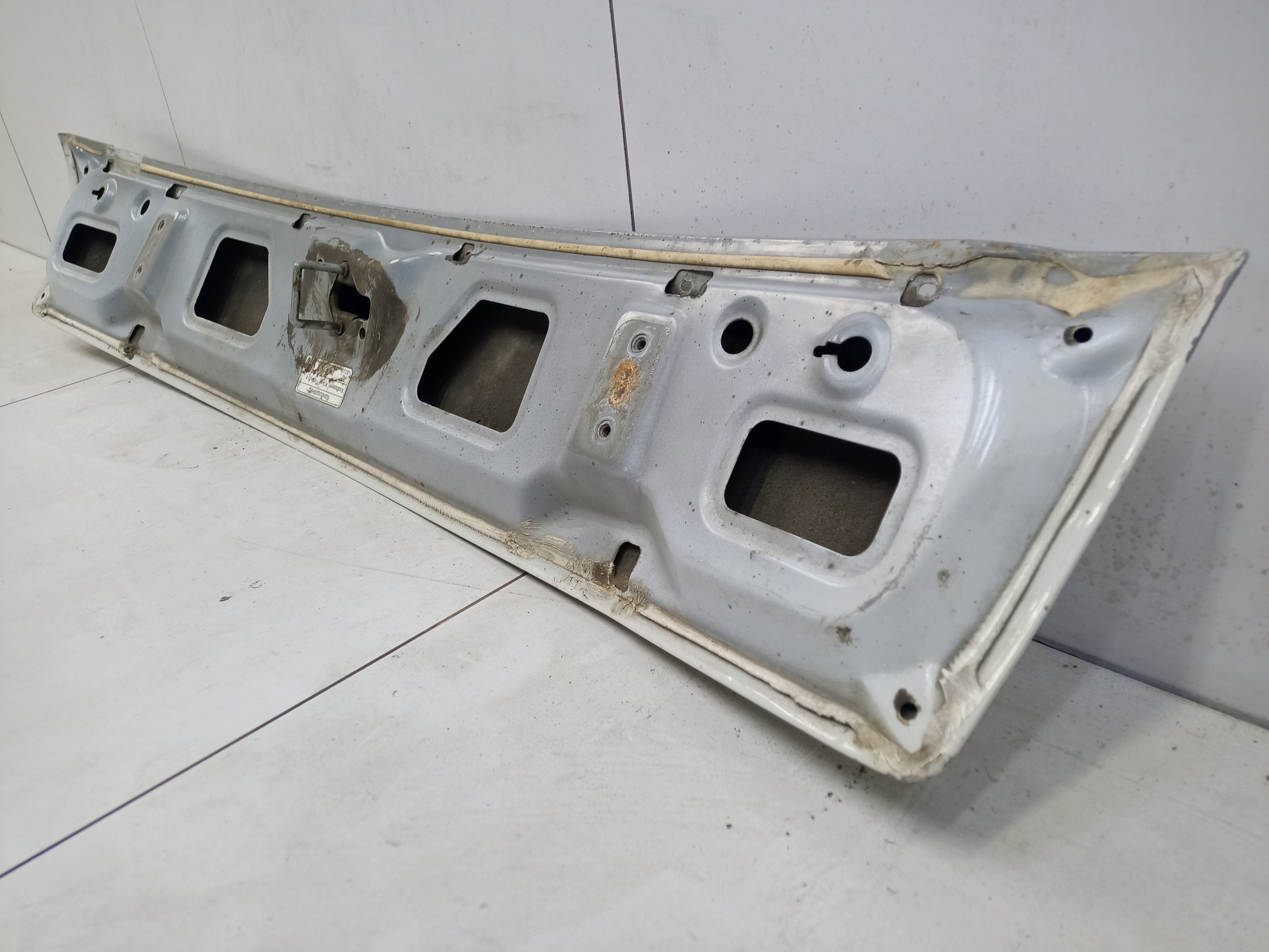 Капот Sollers Argo