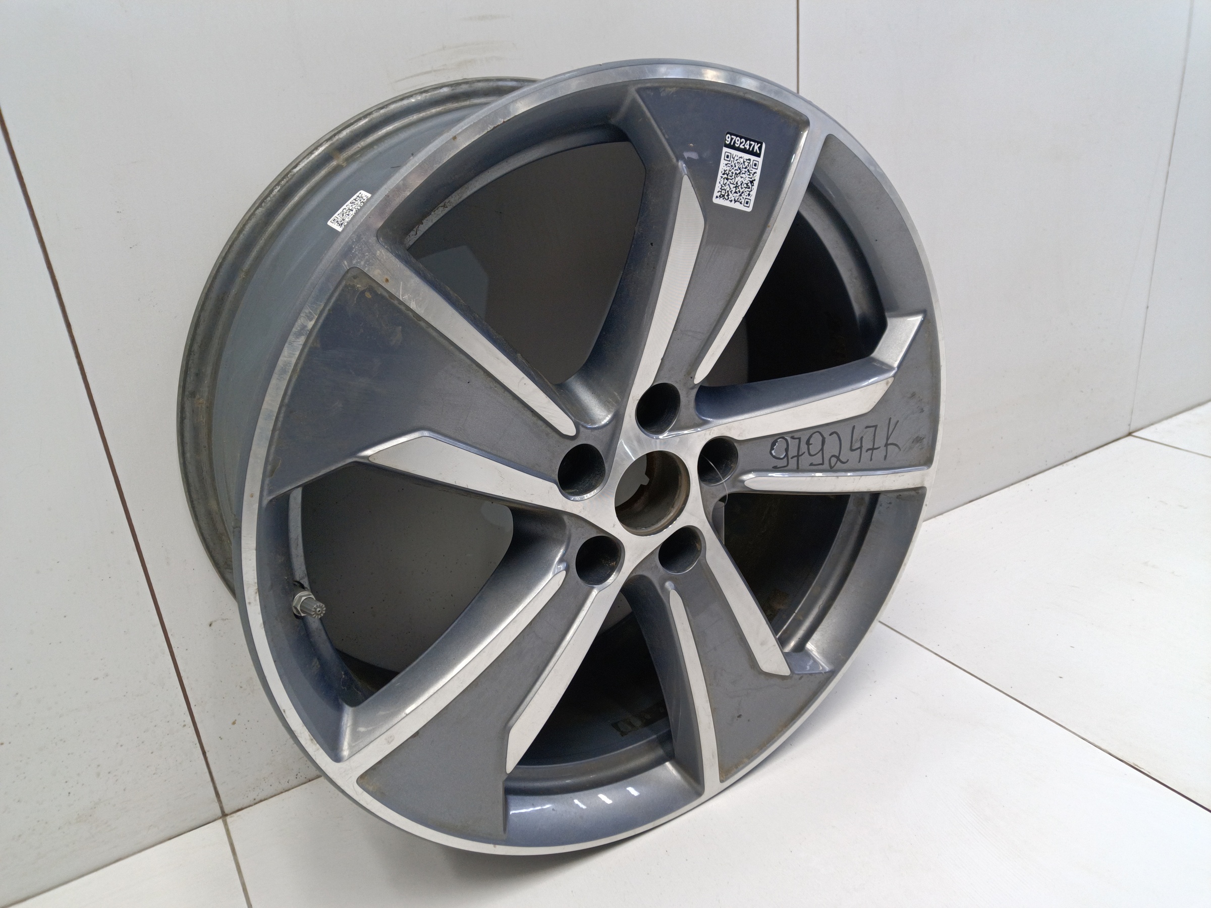 Диск колеса литой Geely Okavango Restail R19