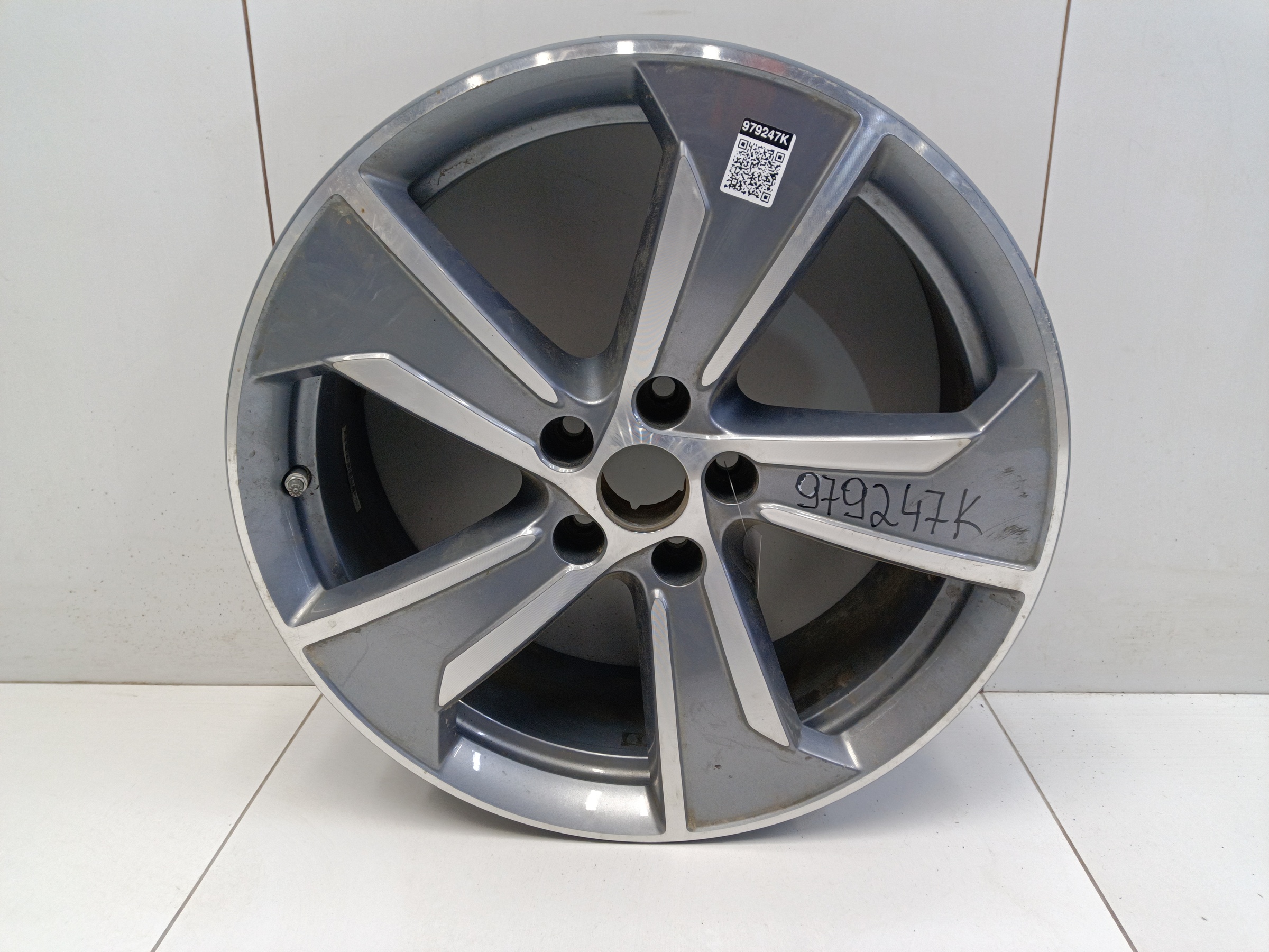 Диск колеса литой Geely Okavango Restail R19