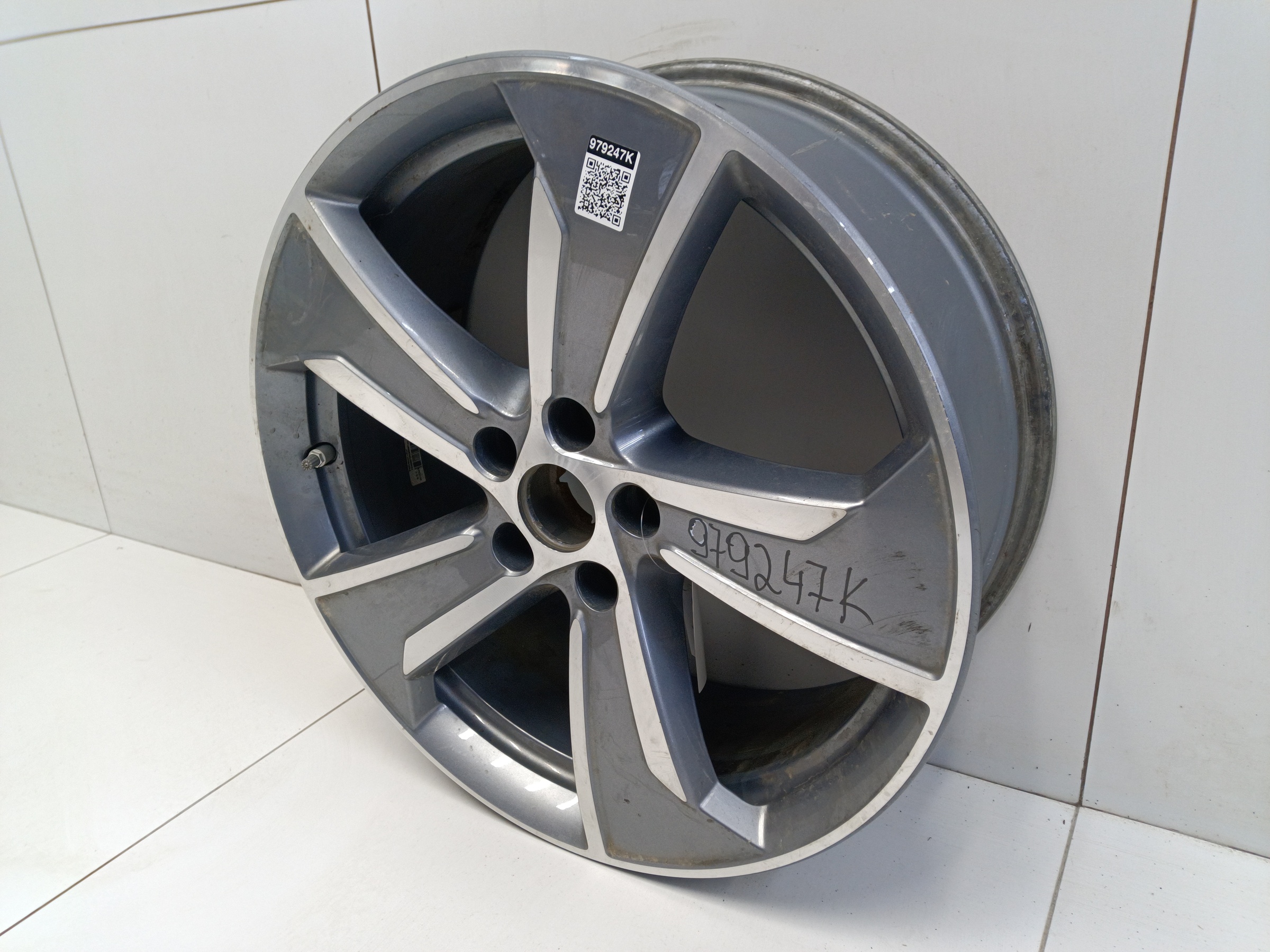 Диск колеса литой Geely Okavango Restail R19