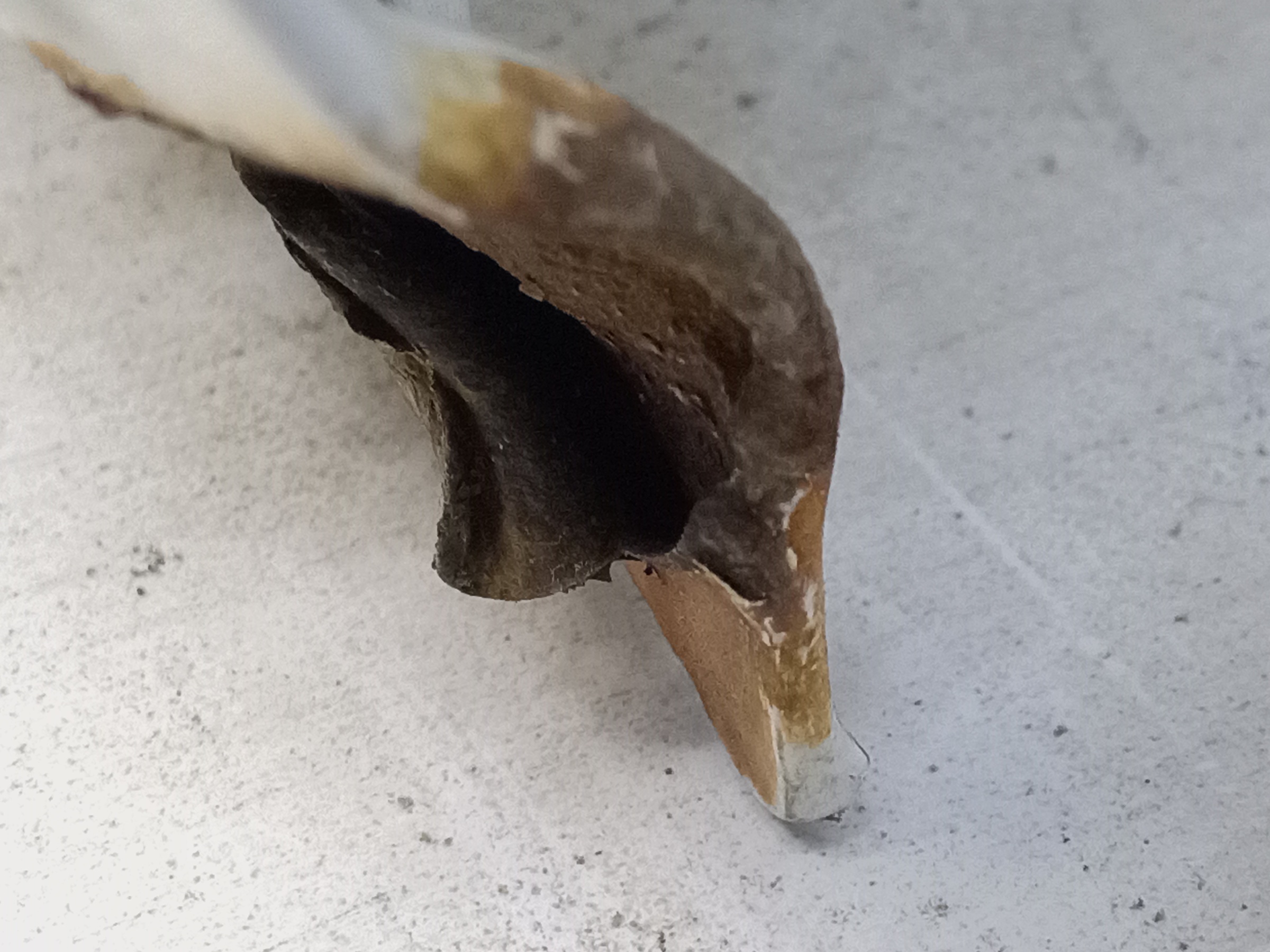 Дверь задняя правая Changan CS95 Restail