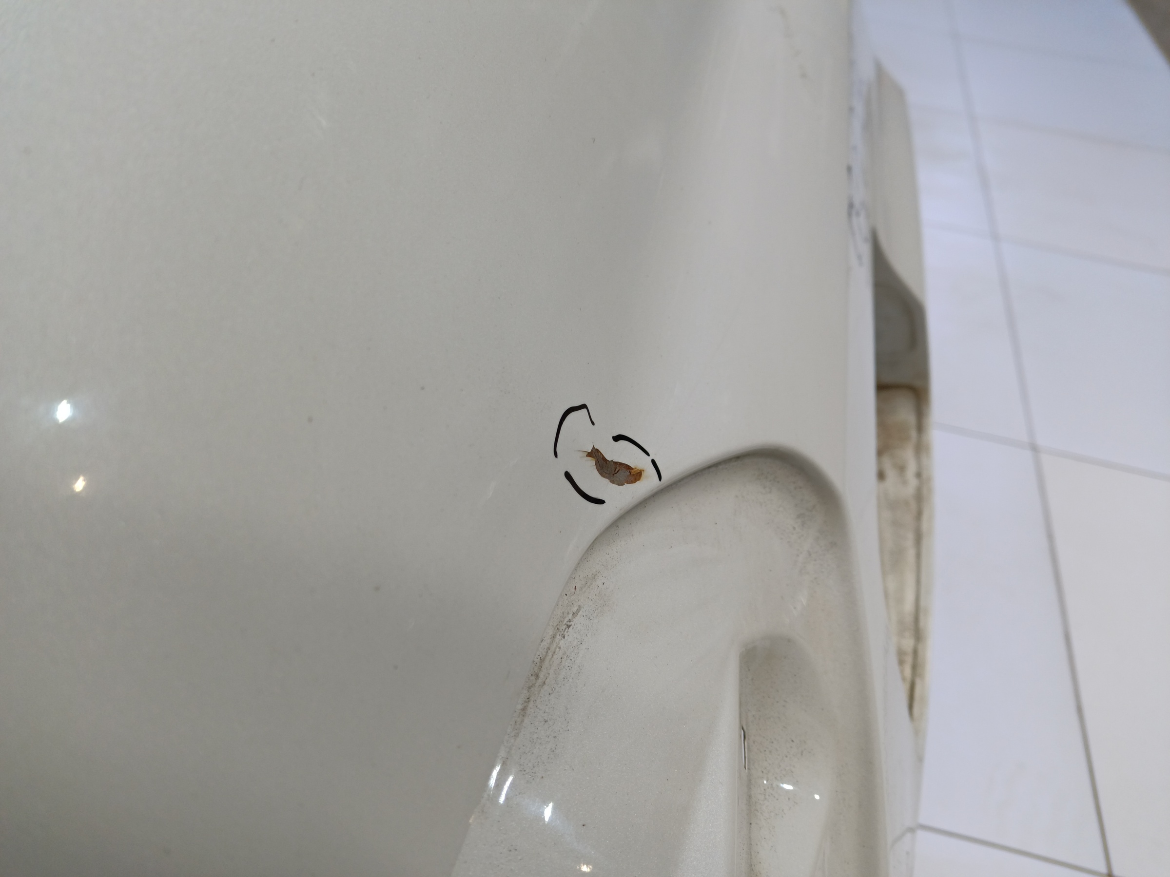 Крыло заднее правое Subaru XV 1