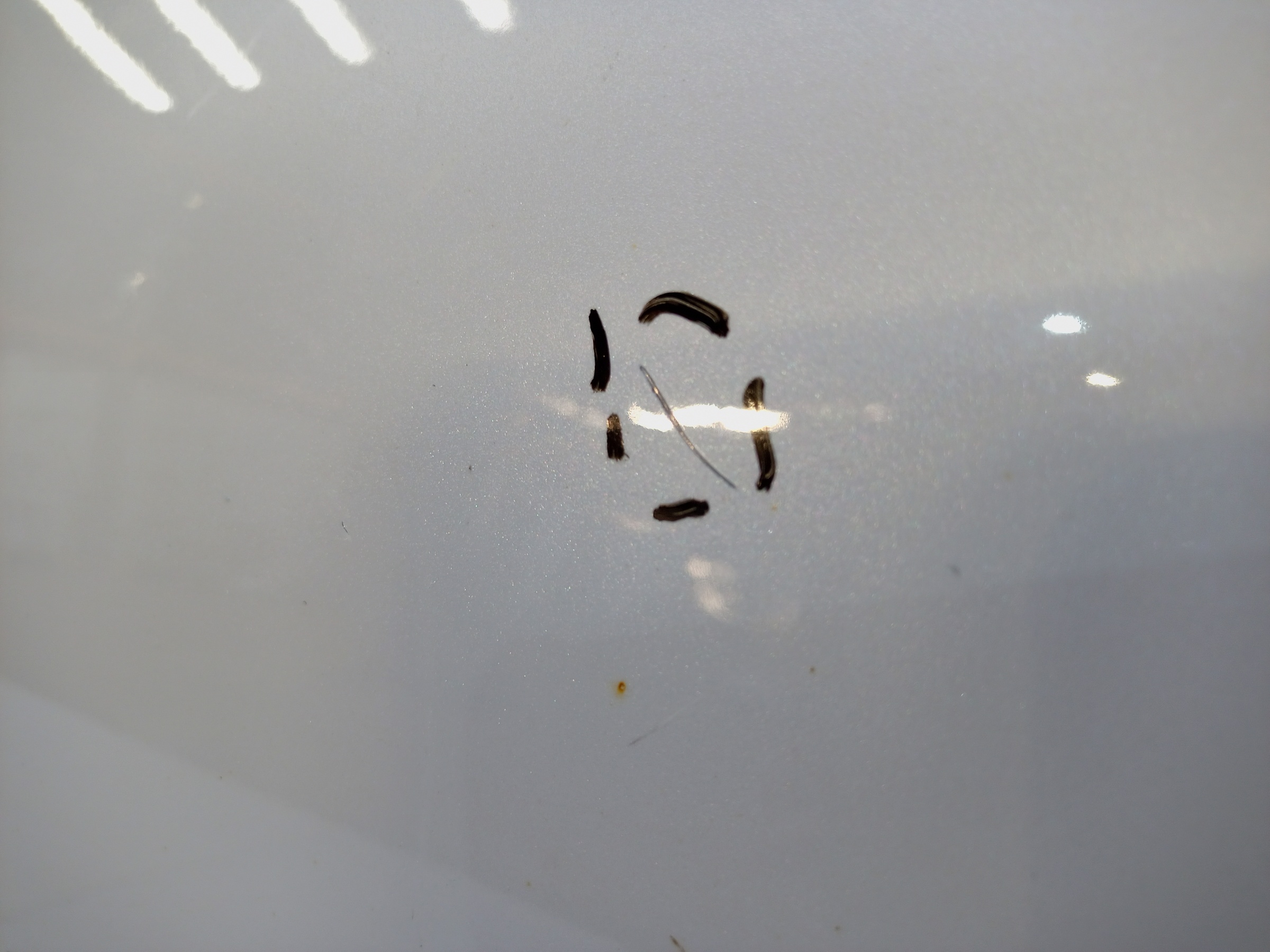 Дверь передняя правая Haval Jolion без молдинга