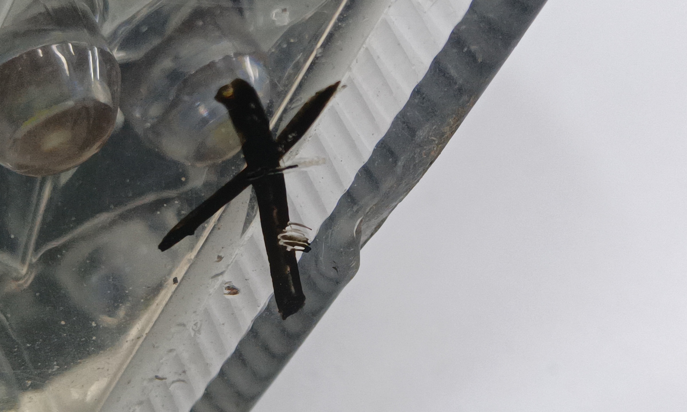 Фара передняя правая UAZ Patriot Restail 2 галоген с ДХО