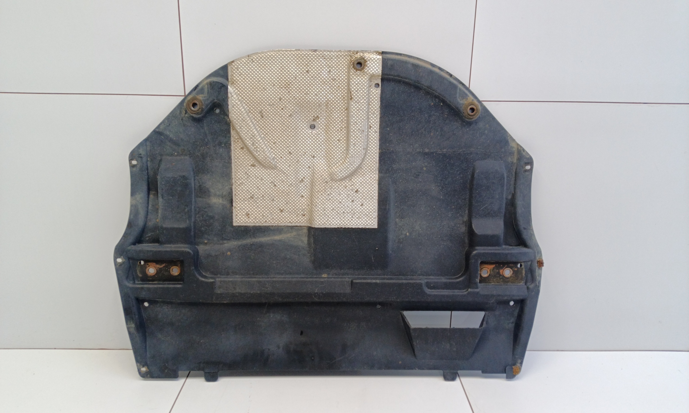 Защита двигателя Skoda Rapid 1