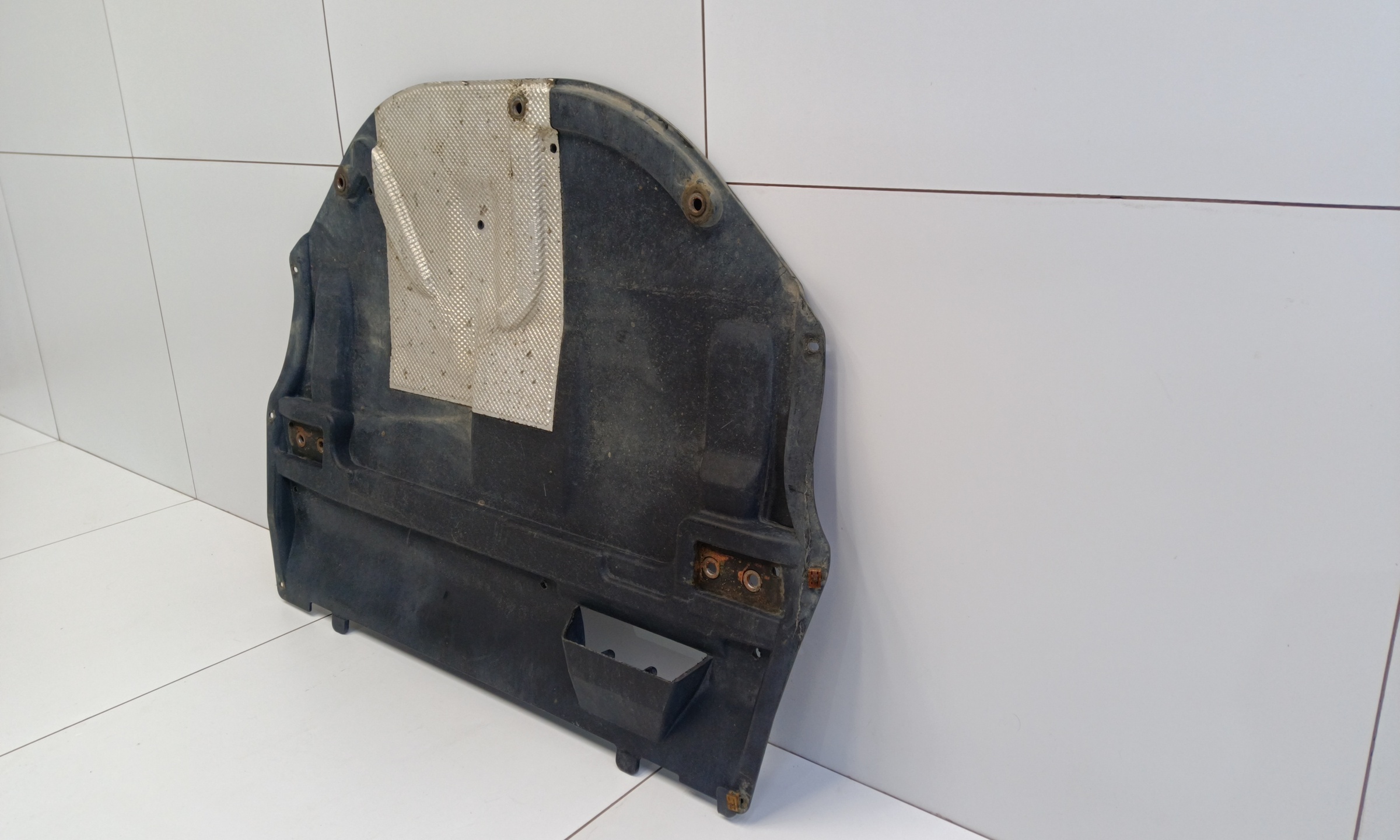 Защита двигателя Skoda Rapid 1