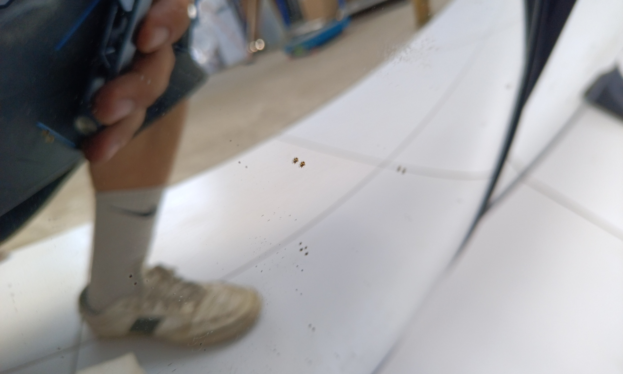 Зеркало левое Shacman X3000