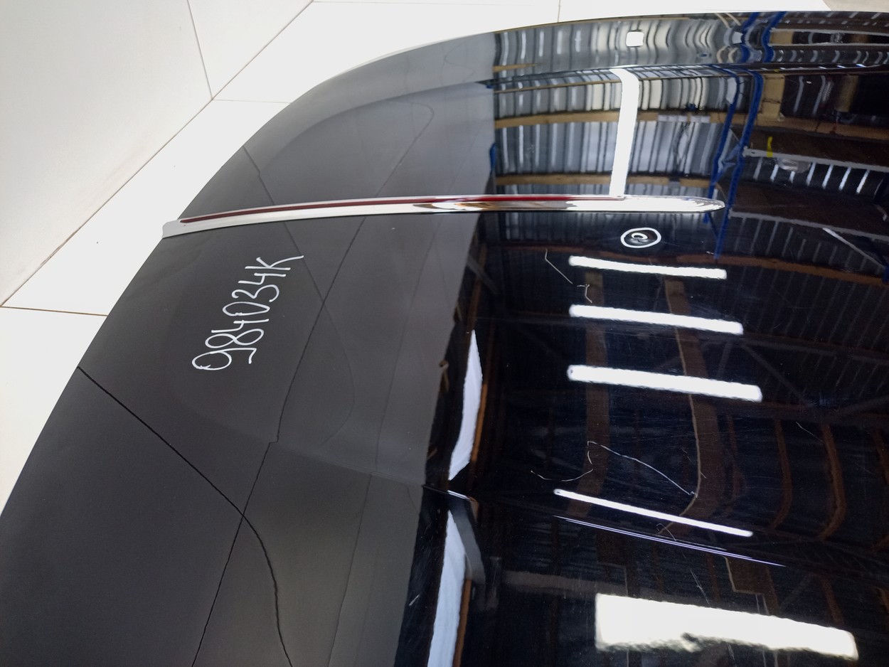 Капот Hongqi H9