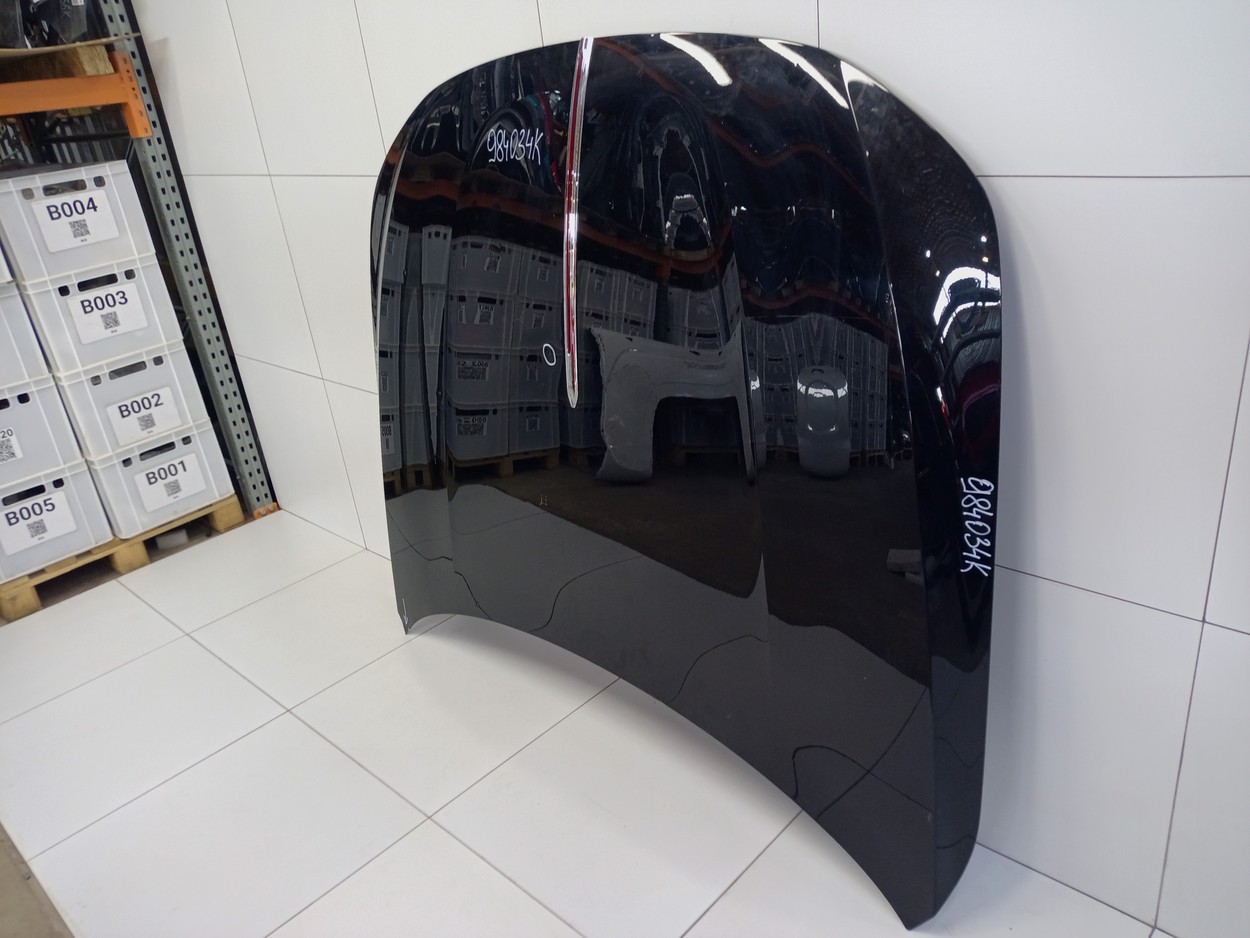 Капот Hongqi H9