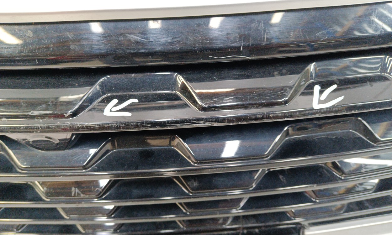 Решетка радиатора Baic X3