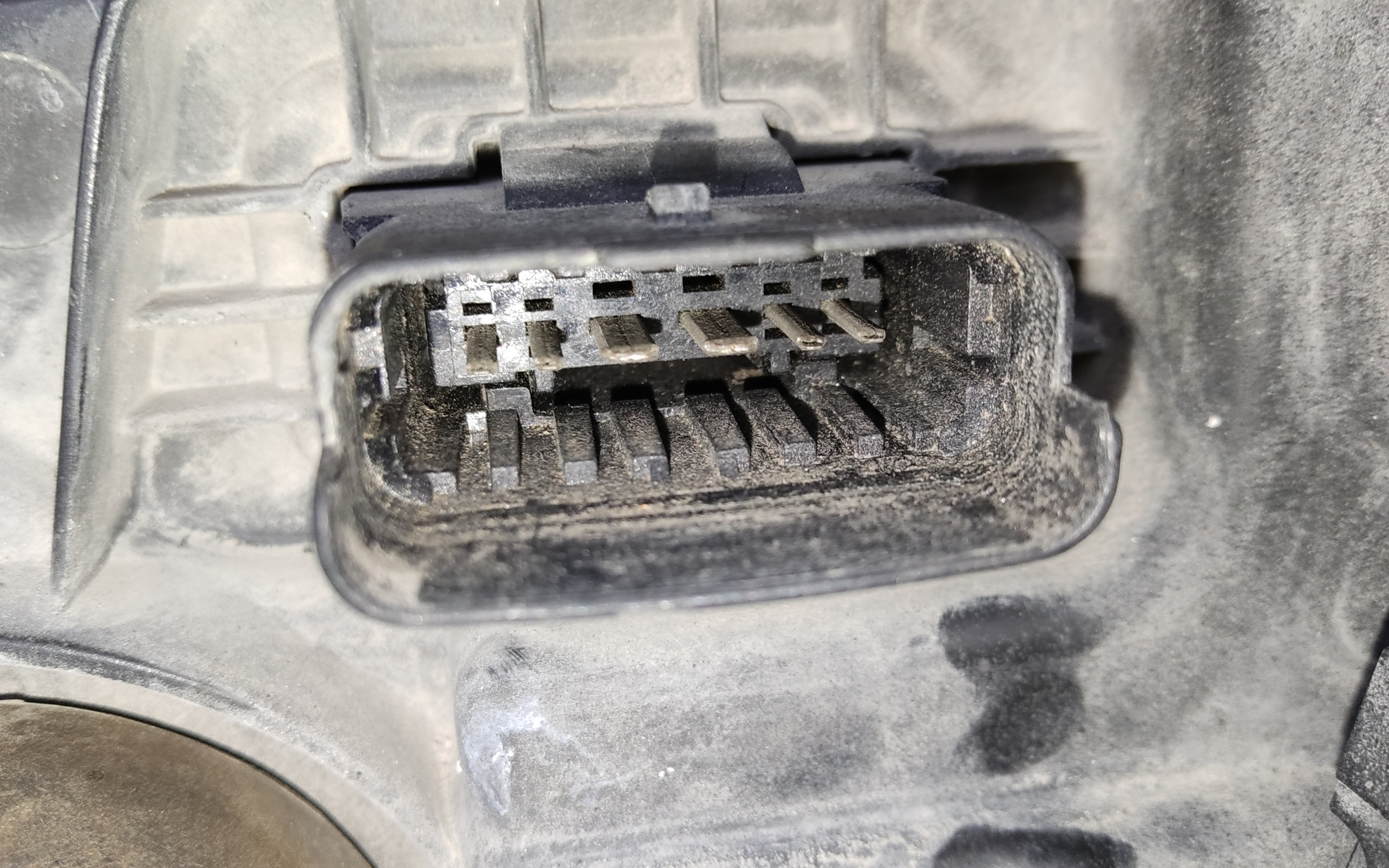 Ноускат Renault Koleos 2