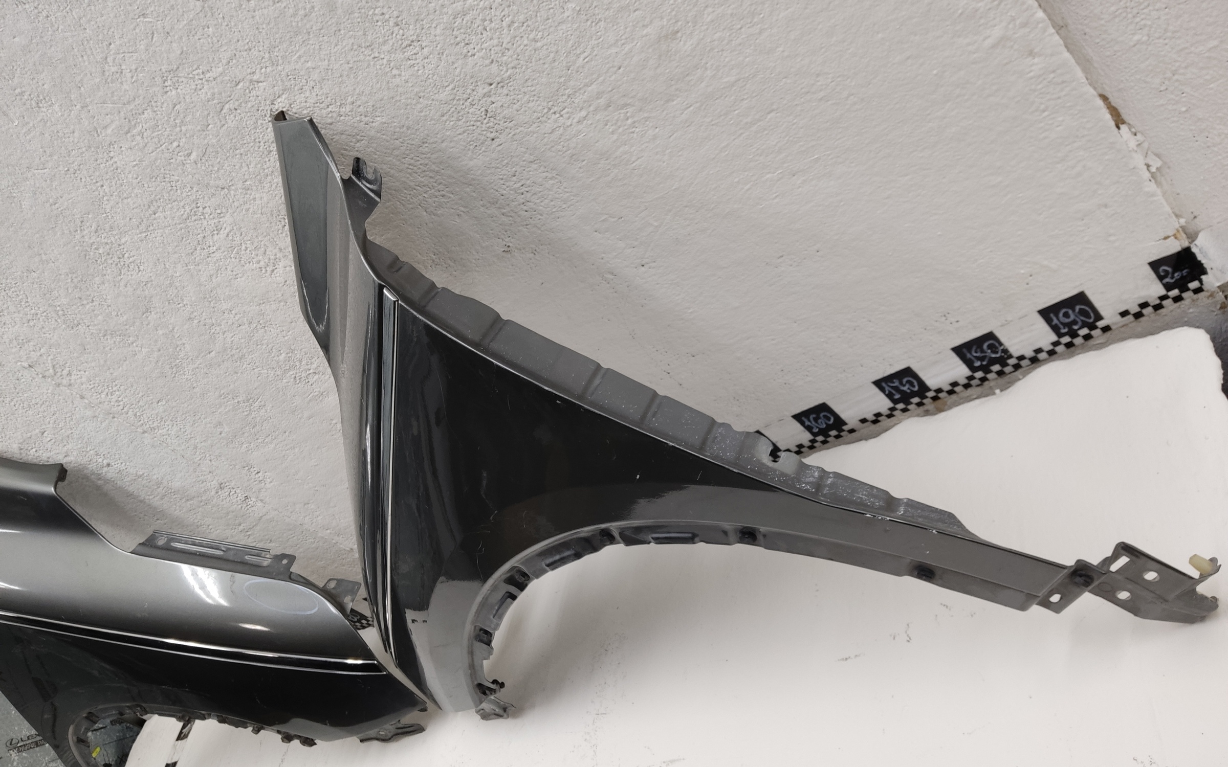 Ноускат Renault Koleos 2