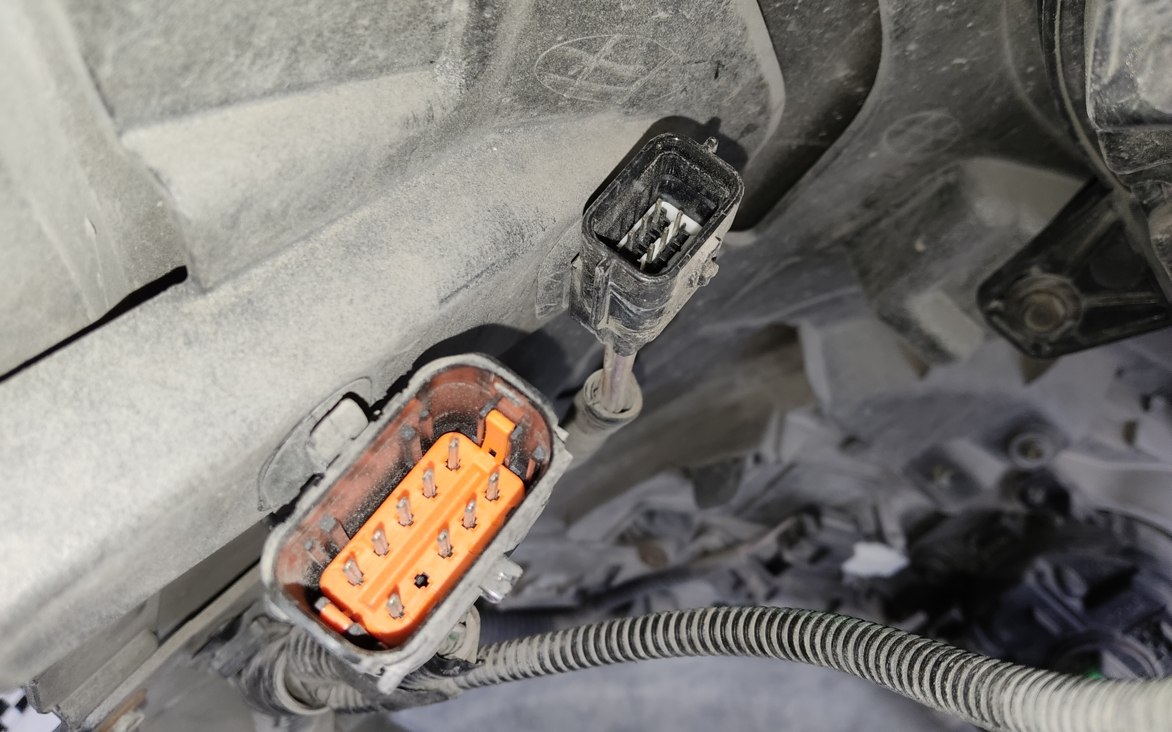 Ноускат Renault Koleos 2