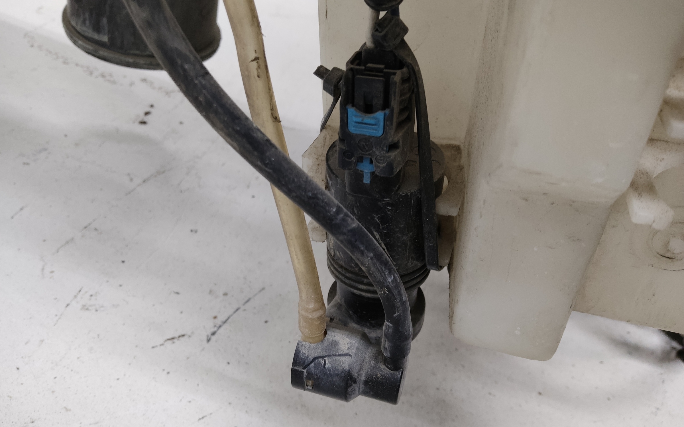 Ноускат Renault Koleos 2