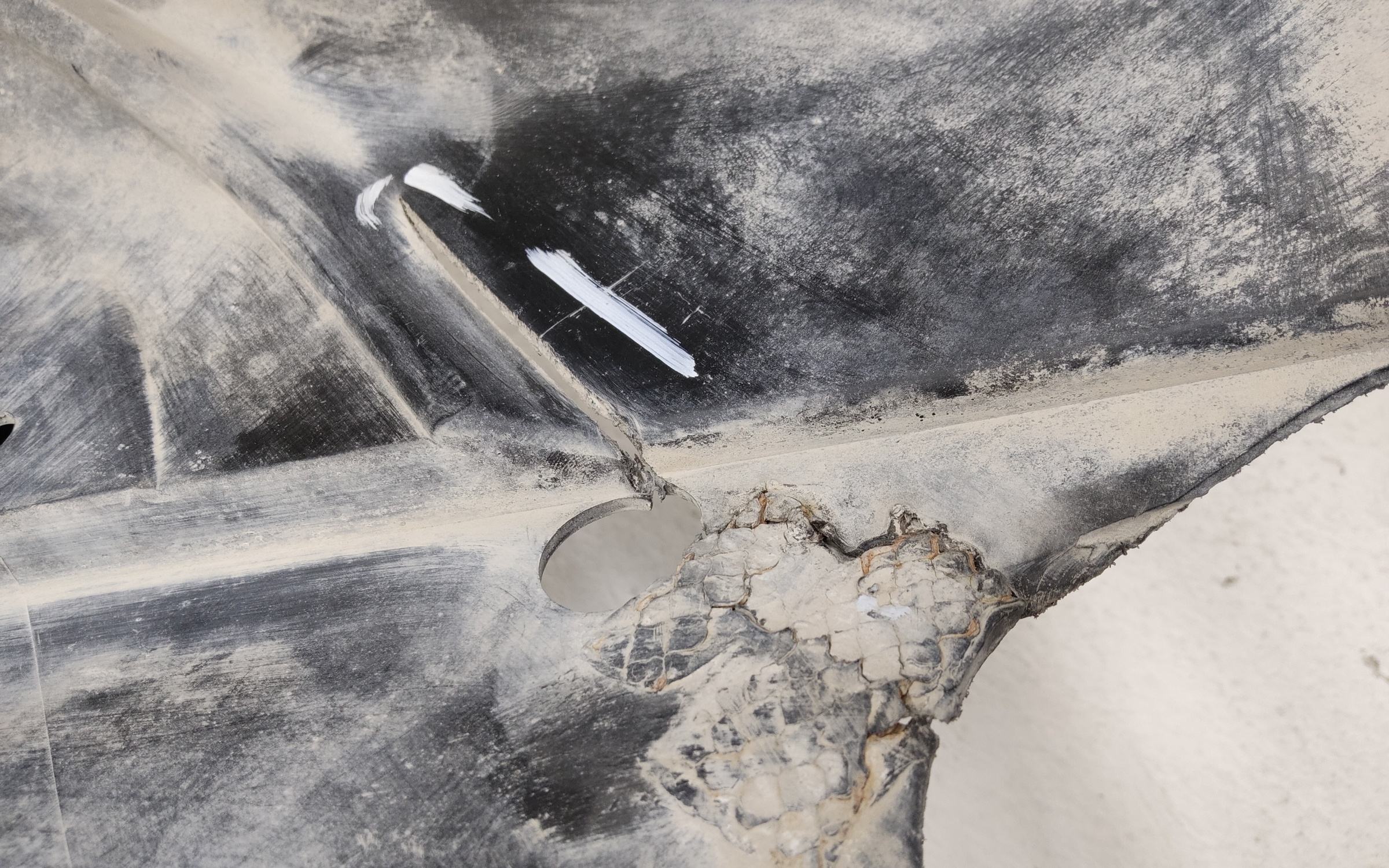 Ноускат Renault Koleos 2