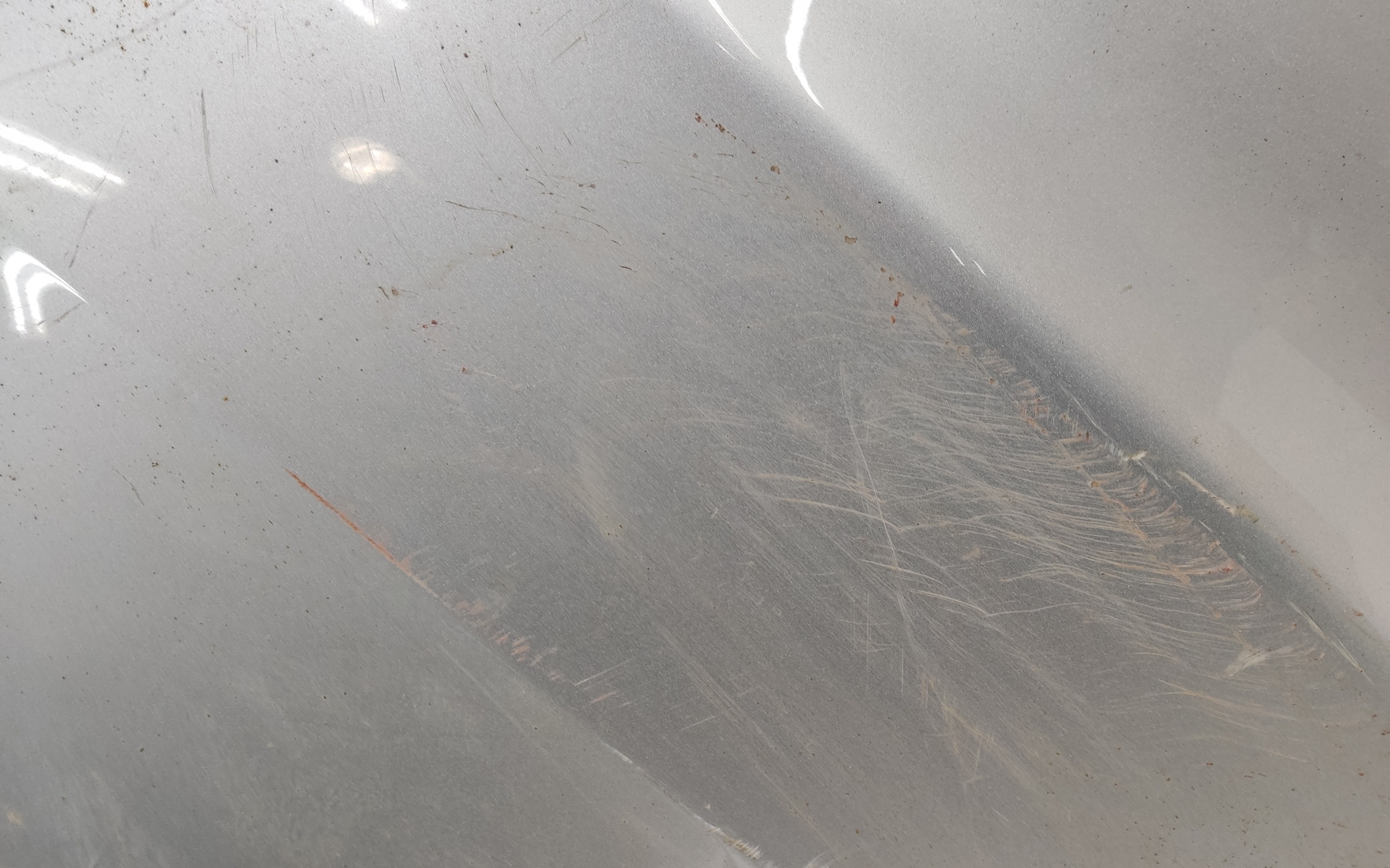 Ноускат Renault Koleos 2