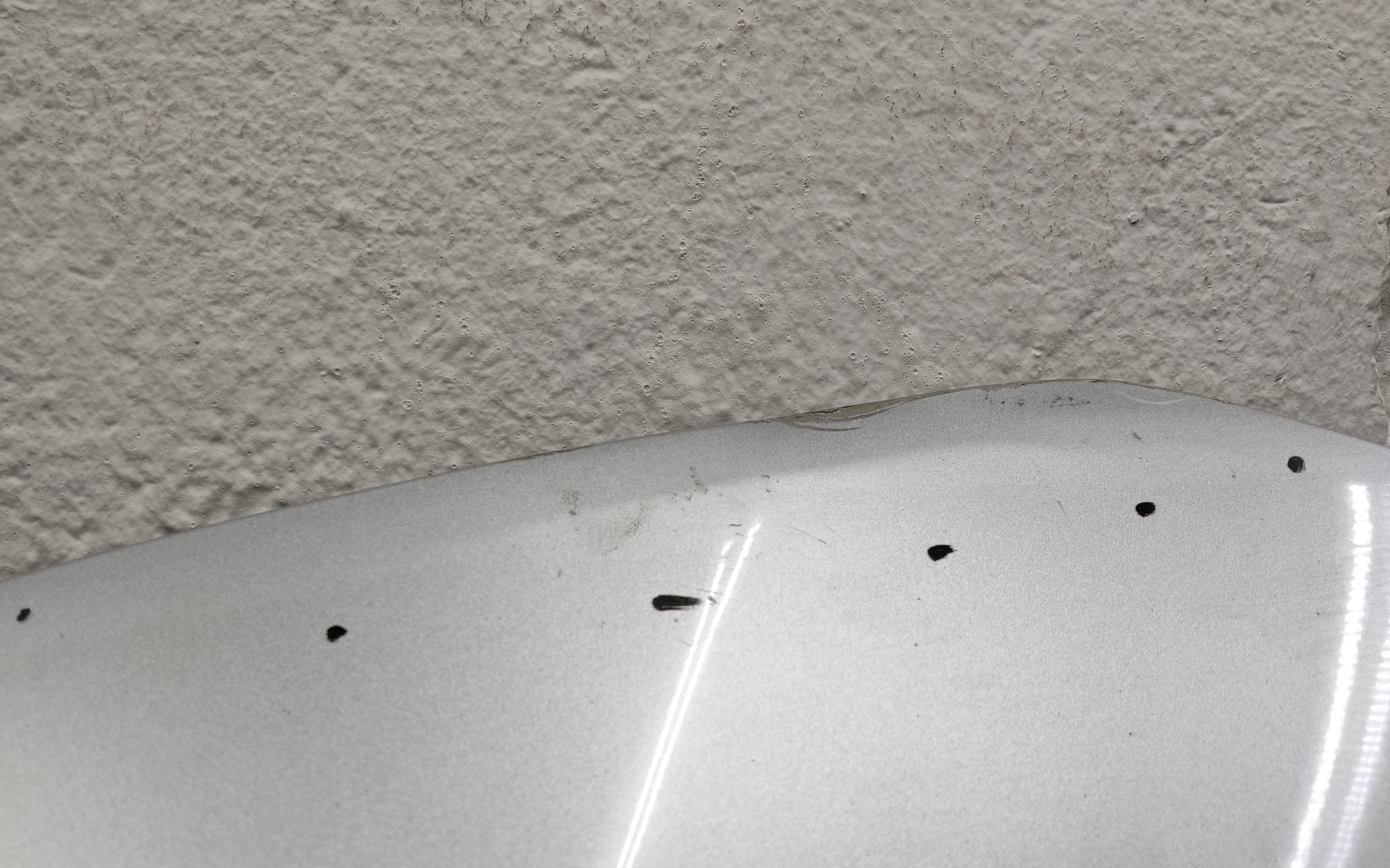 Ноускат Renault Koleos 2