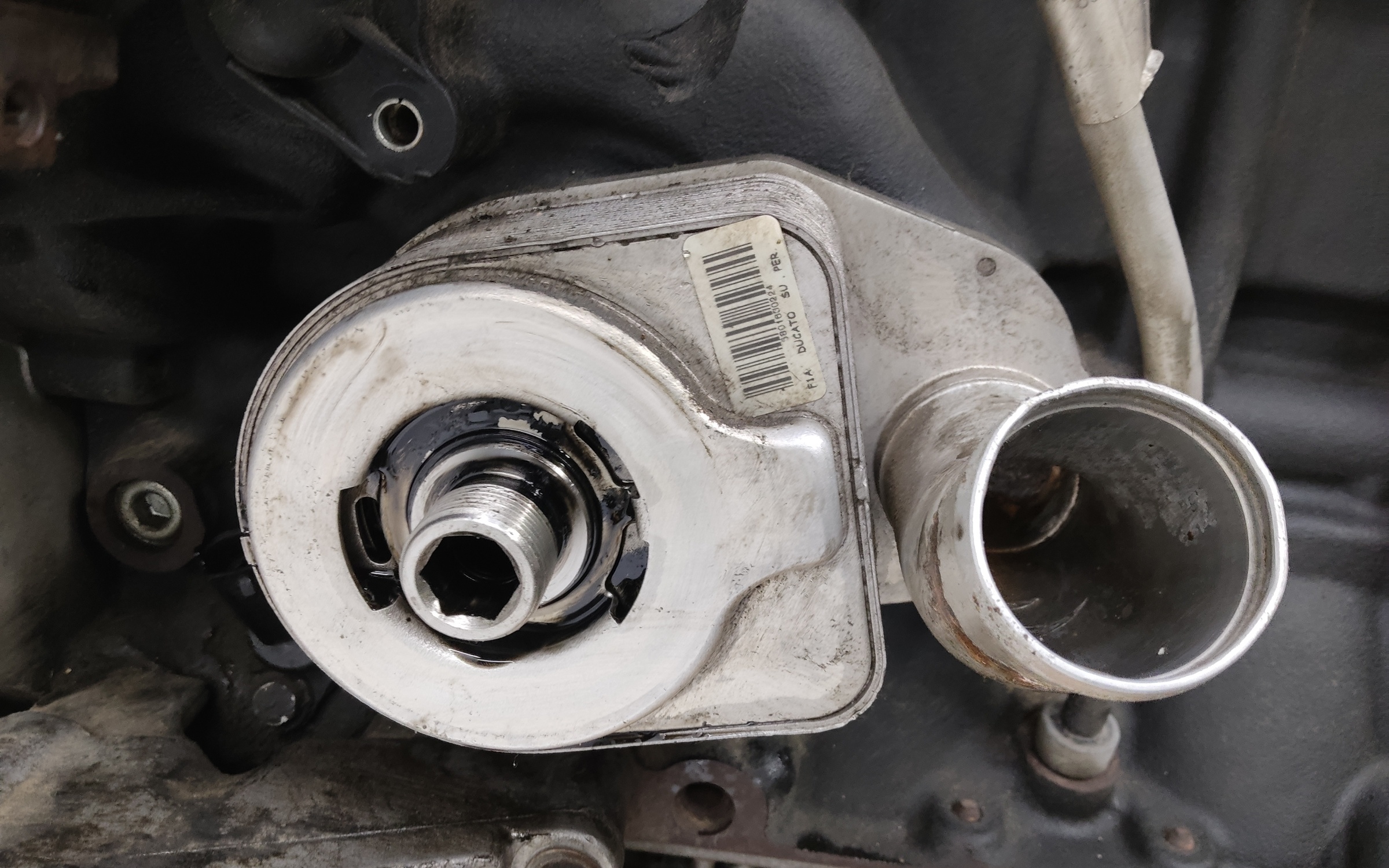 Двигатель F1AE Fiat Ducato 3