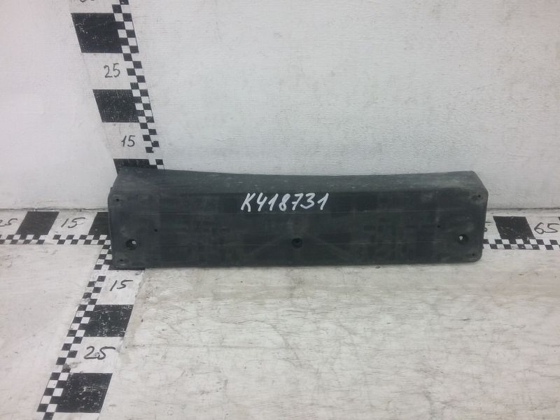 Накладка переднего бампера под номерной знак BMW X3 F25