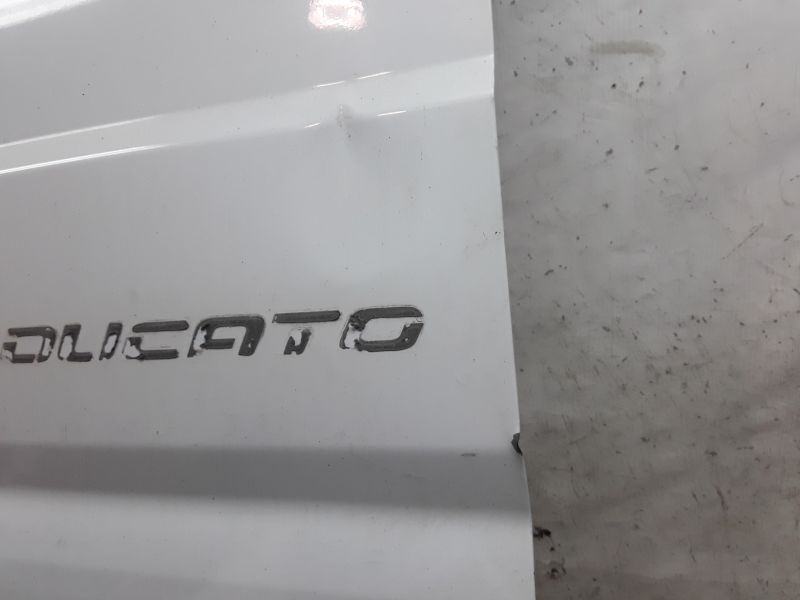 Дверь задняя правая распашная глухая Fiat Ducato 3 190см