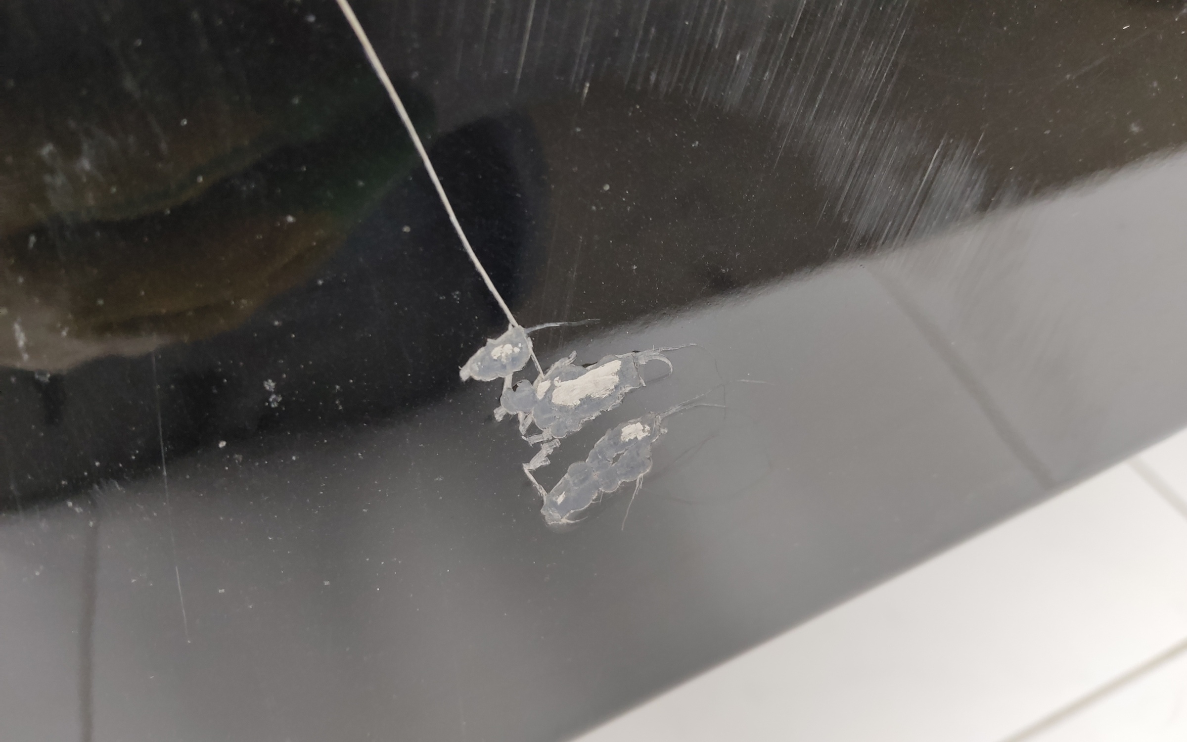 Капот Porsche Macan 1